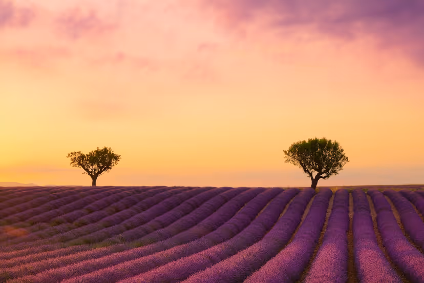 Saint-Rémy-de-Provence at dusk, the Alpilles in the background, warm stone light