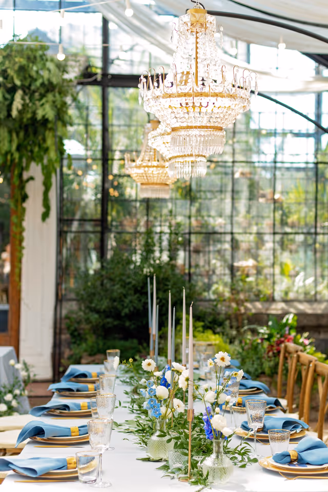 Lustres en cristal au-dessus d'une table dressée avec serviettes bleues et fleurs dans une serre